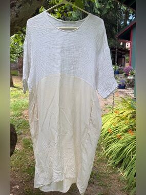 Elsa Esturgie Silk dress